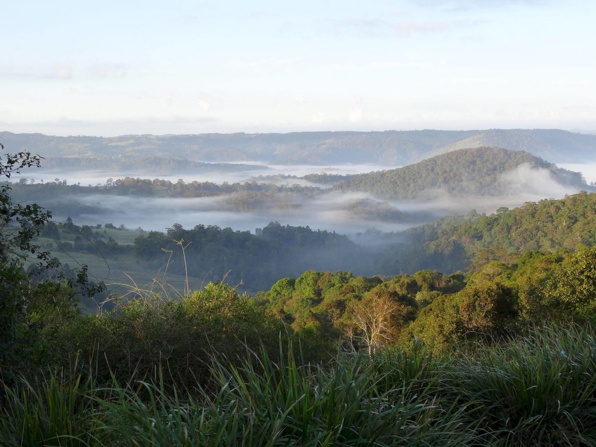 Maleny Luxury Cottages Екстер'єр фото